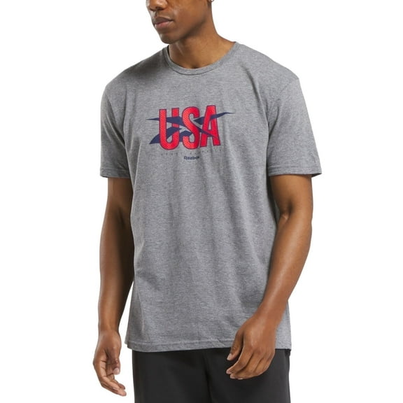 Reebok Mens Regular fit Short Sleeve Graphic T-Shirt Shirt Medium Grey Solid