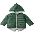thumbnail image 1 of MesaSe Manteau Rembourré pour Bébé Garçon Fille 3D Dinosaure Hiver à Capuche, 1 of 3