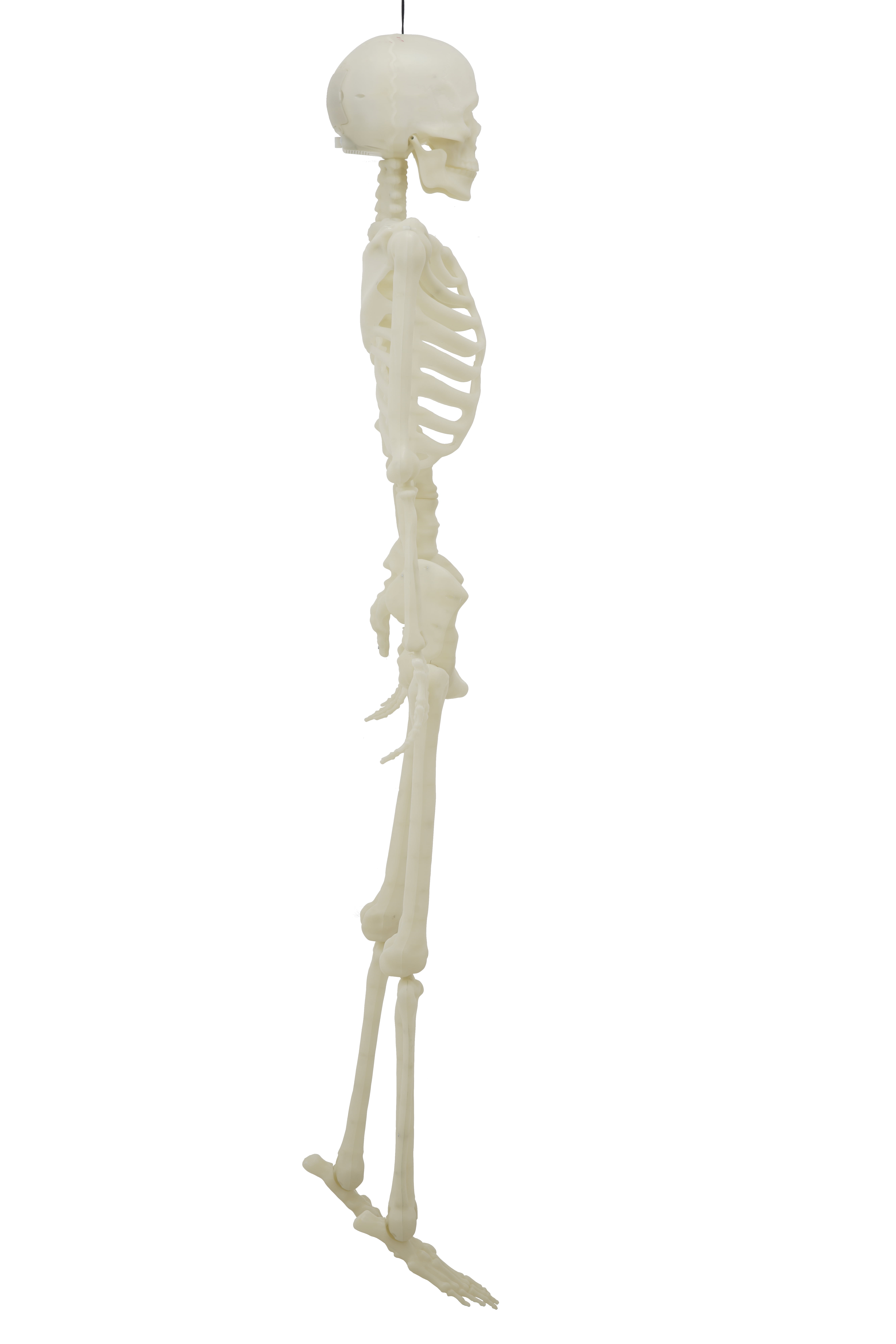 5-Foot Poseable Rainbow LED Illuminated Skeleton, Halloween Hanging Decoration, by Way to Celebrate