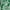 Green Pink, variant on Nanette Lepore Women's Smocked Flutter Sleeve Midi Dress, Sizes XS-XXXL