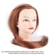 thumbnail image 1 of Cabeza De Maniquí Para El Cabello, Cabeza De Práctica De Maniquí De Cosmetología, Cabeza De Maniquí De Maquillaje, Cabeza De Maniquí De Cosmetología, Altura De 26 Cm,, 1 of 7