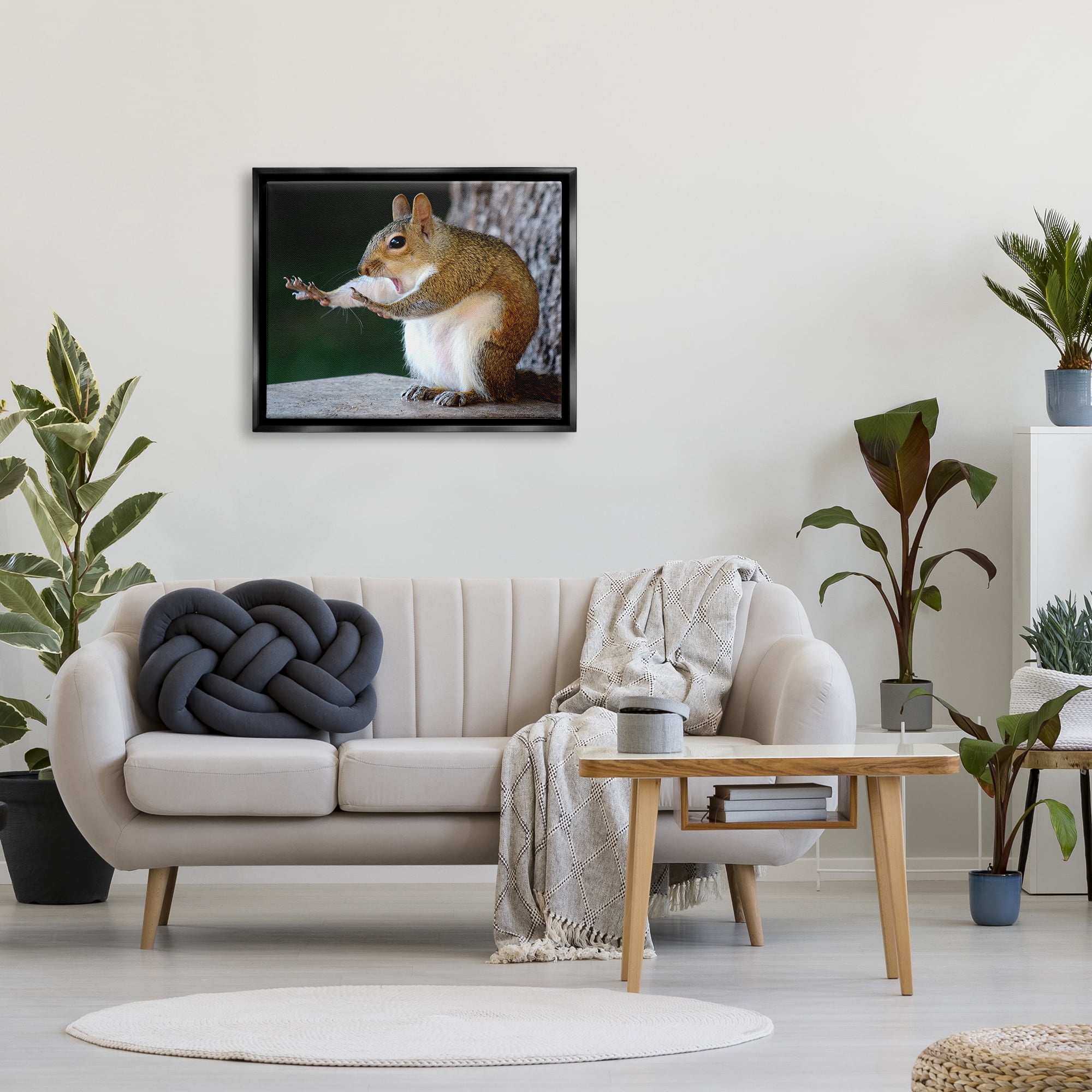 Stupell Industries Funny Shocked Pose Squirrel Animals & Insects Photography Black Floater Framed Canvas Art Print Wall Art, 31 x 25