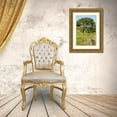 thumbnail image 3 of Bush, Marie 13x18 Gold Ornate Wood Framed with Double Matting Museum Art Print Titled - USA, California California oak tree scenic, 3 of 4