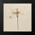 thumbnail image 2 of Tillmon, Avery 20x20 Black Modern Framed Museum Art Print Titled - Modern Vintage Floral III, 2 of 5