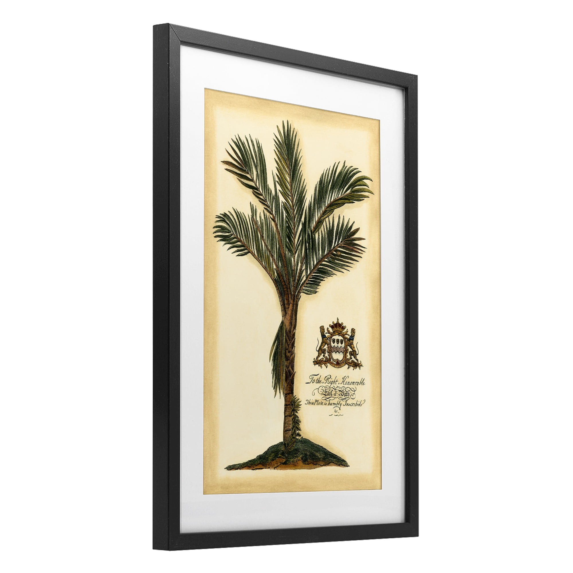 Stupell Industries Vintage Colonial Palm Black Framed Print Under Glass, design by Vision Studio