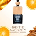 thumbnail image 5 of Air Jungles Hanging Car Air Freshener Diffuser 3 Ct, Golden Holiday Scent of Citrus Amber Vanilla, Long Lasting Up to 150 Days, Car Fragrance Odor Eliminator - Premium Essential Oil, Made in USA, 5 of 8