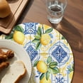 thumbnail image 3 of Botanical Lemon Round 13 Inch Placemats Set of 8, Spring Countryside Floral Blue Tile HeatResistant Non Slip Place Mats for Dining Table, Wipeable Braided Kitchen Table Mats for Housewarming, 3 of 9