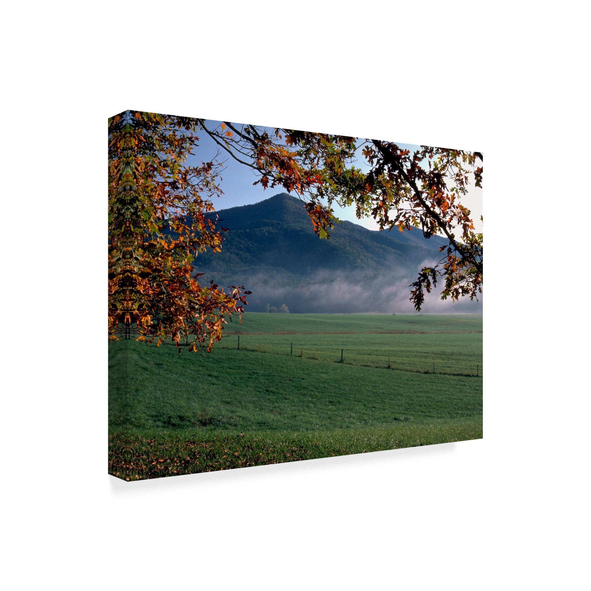 Trademark Fine Art 'Cades Cove' Canvas Art by J.D. Mcfarlan
