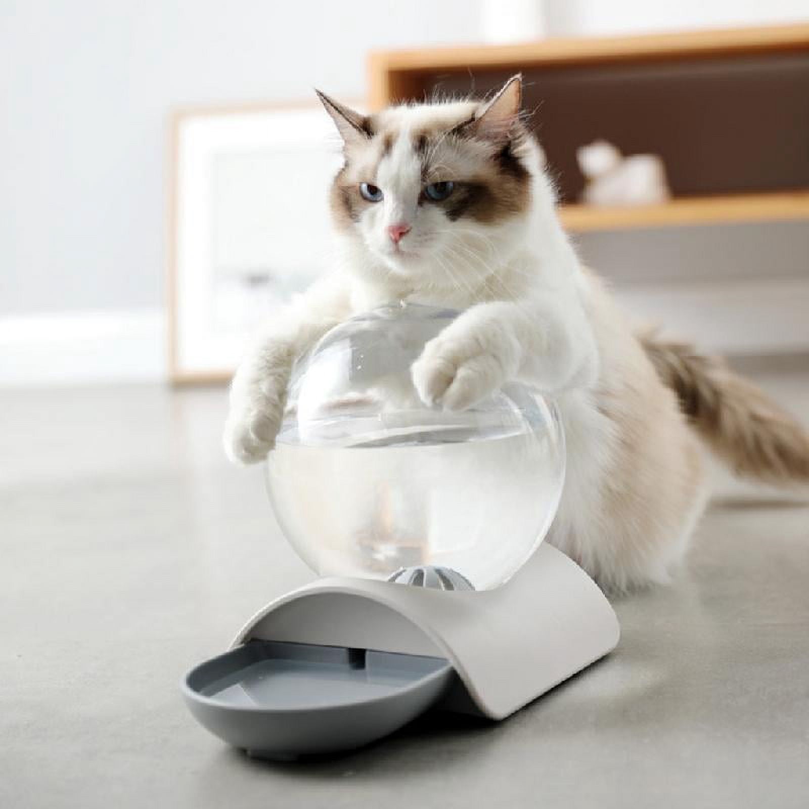 OOKWE Pet Automatic Drinking Fountain Cat Feeder Bowl Ball Dog Water Dispenser Large Capacity