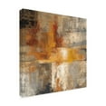 thumbnail image 3 of Trademark Fine Art Silvia Vassileva Silver And Amber Crop Canvas Wall Art - 14x14, 3 of 5