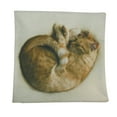 thumbnail image 2 of Cat |  Cat Sleeping Curled up | Cat Pillow | Cute Cat | Cat Gifts | Cat Decor | Cat Photo | Gifts for Cat Lovers | Throw Pillow Covers, 2 of 4