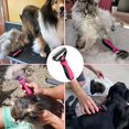 thumbnail image 5 of Peine Qianli de pelo largo rosa para perros y gatos - Peine antienredos - Cepillo para mascotas, rastrillo profesional para perros y gatos, elimina pelo muerto y nudos, 5 of 5