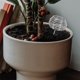 thumbnail image 4 of unbranded 20Ud Accesorio De Jardinería En Inoxidable Para Control Eficiente De Fertilización, 4 of 8