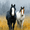 Horse, variant on Minimalist Mojito Canvas Print, Cocktail Art, Kitchen Bar Aesthetic Wall Decor with Recipe