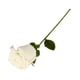 thumbnail image 2 of Ramo de rosas simuladas de ganchillo de lana - Flor eterna tejida a mano para bodas y decoración del hogar - Regalo de San Valentín, 2 of 2