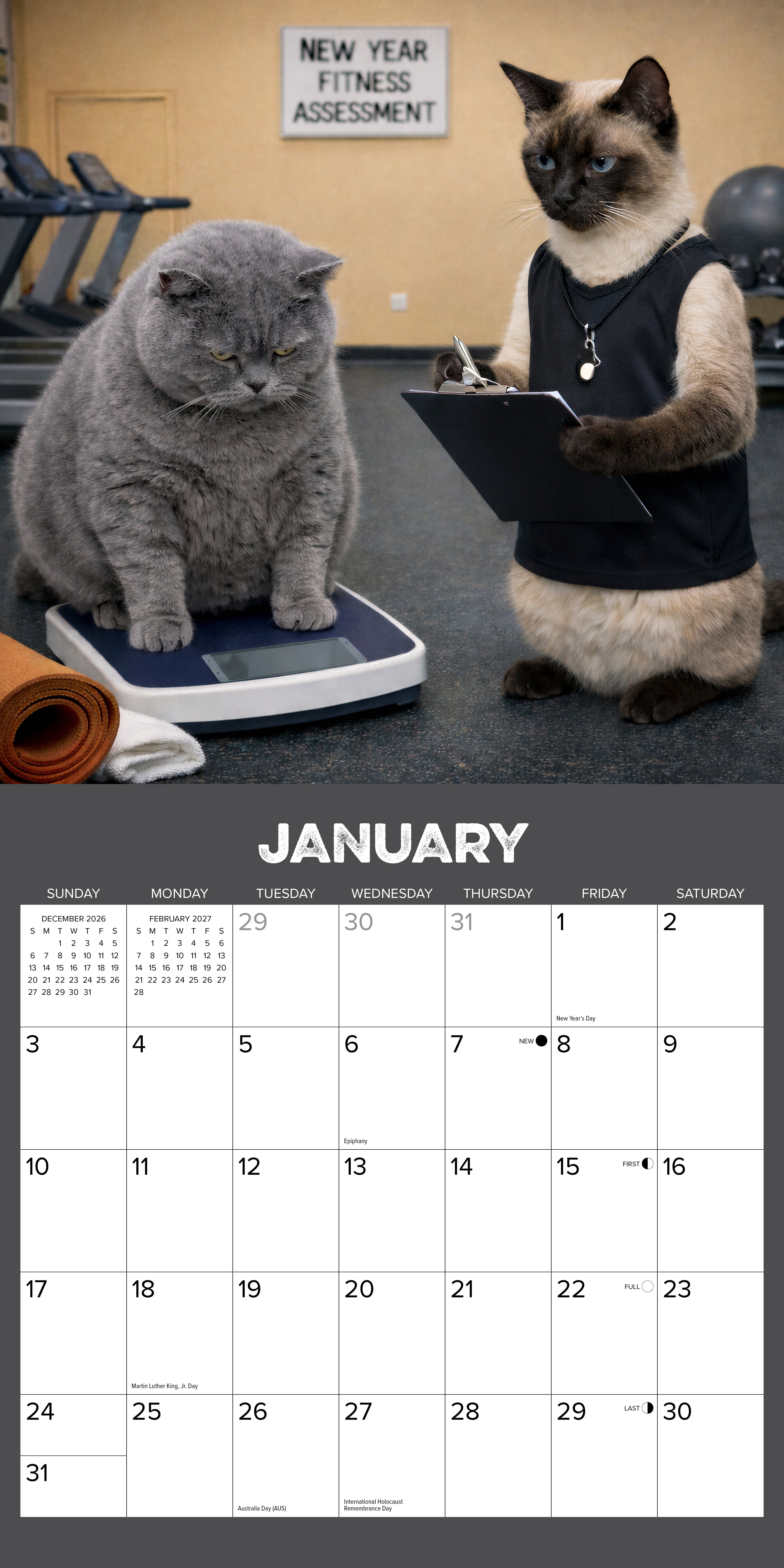 Willow Creek Press, Gym Cats 2027 Wall Calendar