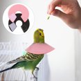 thumbnail image 2 of 2Pcs Parrot Protective Collars Anti pecking Recovery Collar Rings, 2 of 8