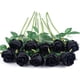 thumbnail image 4 of Xiao Hua 10 rosas artificiales de tallo largo de seda para ramo de boda, decoración del hogar (negro), 4 of 5