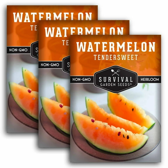 3 Packs Sugar Tendersweet Orange Watermelon Seed - Non-GMO Heirloom Full Sun Annual Vegetable