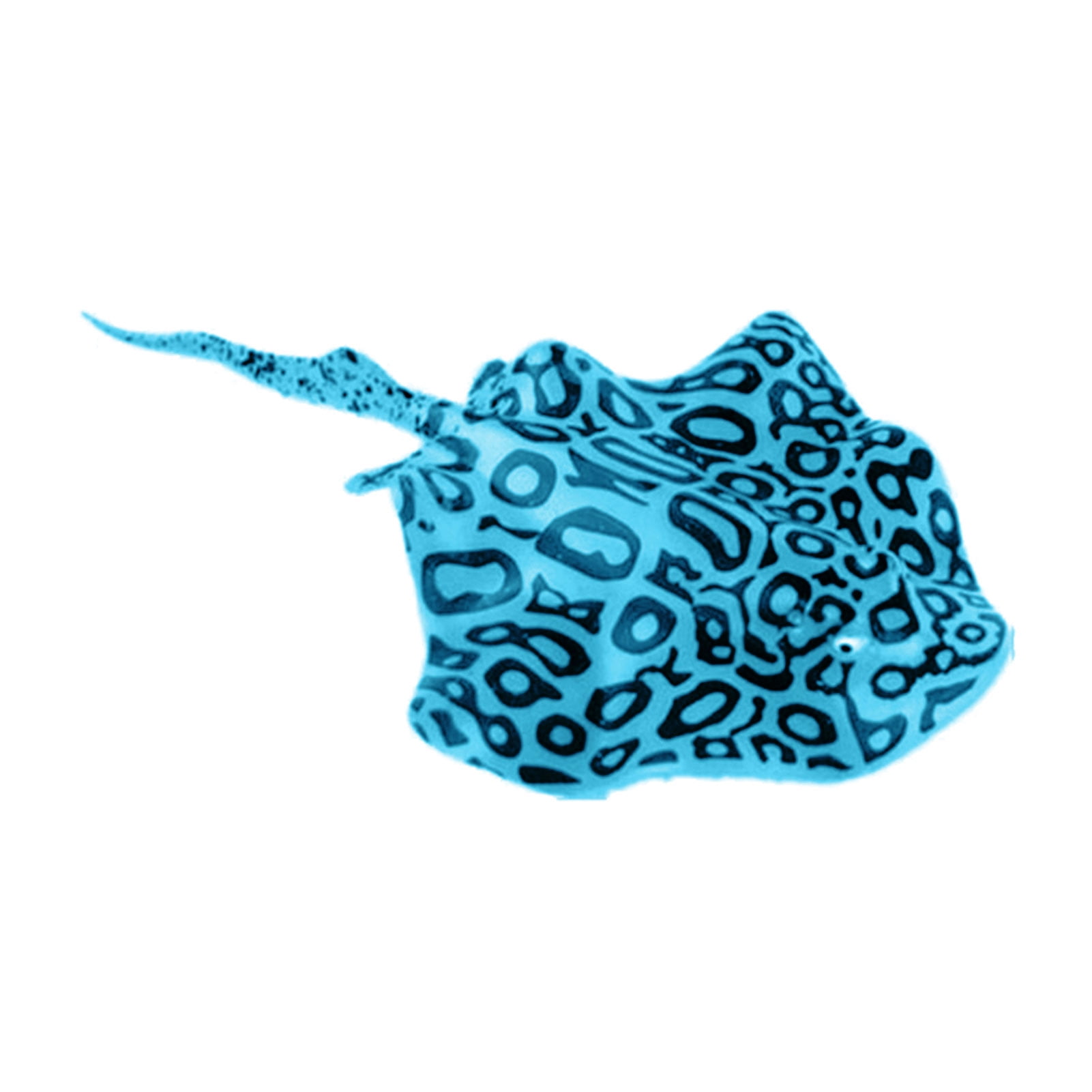 8-Quart Digital Air Fryer