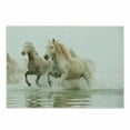 thumbnail image 1 of Horses Cutting Board, Camargue Horses in Water Oldest Breed Southern France Origin Photo, Decorative Tempered Glass Cutting and Serving Board, Small Size, White Beige, by Ambesonne, 1 of 1