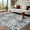 Gray tone, variant on 8x10 Ft Vintage Floral Print Rug, Non-Slip, Washable, Stain-Resistant, Low Pile Carpet for Living Room/Bedroom/Kitchen (Gray)