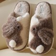thumbnail image 3 of Fregona de estilo Coco para el hogar, fregona de pelo bonito y cálido para suelo, ropa de abrigo para dormitorio, zapatillas de invierno, otoño e invierno, 2024, 3 of 5