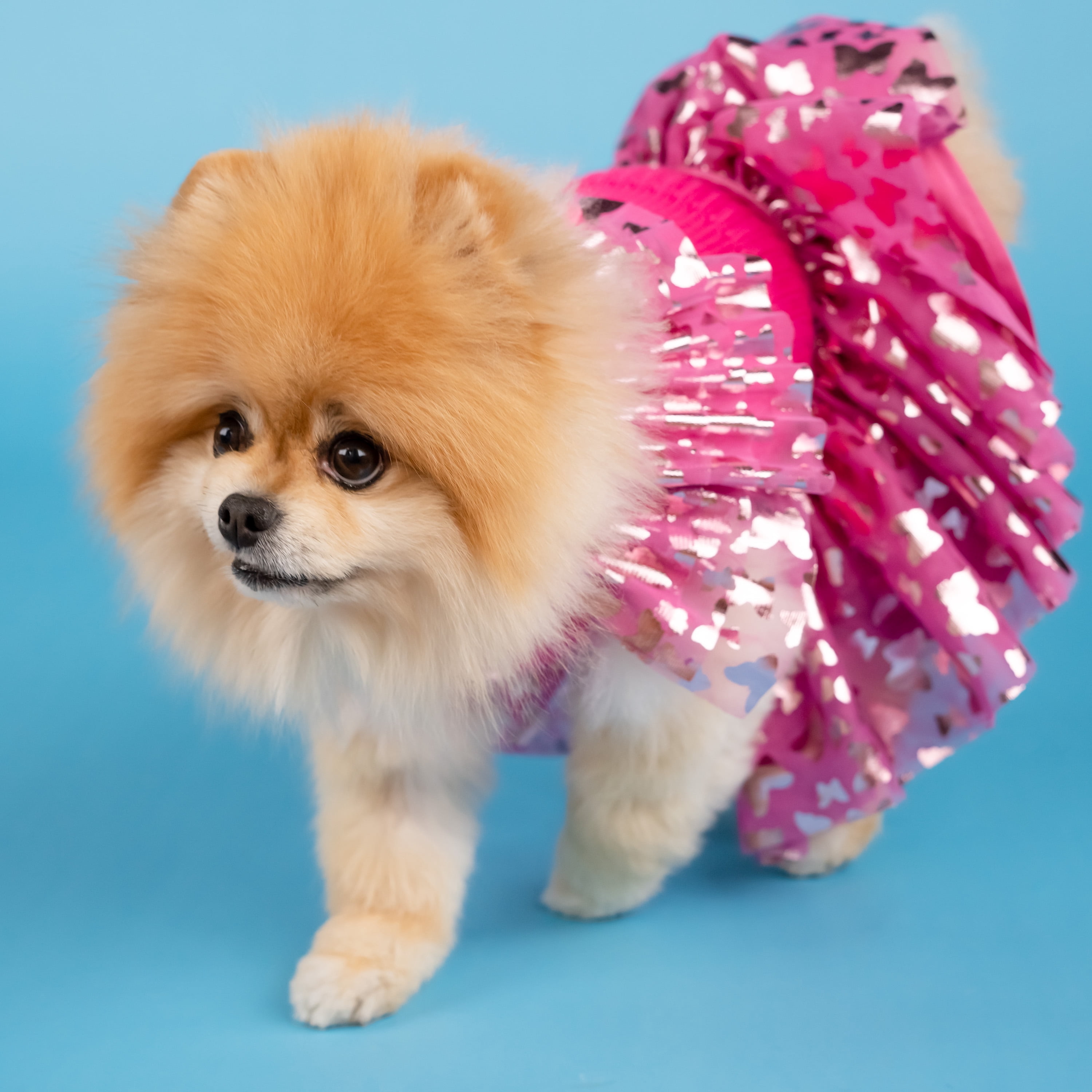 Doggy Parton, Dog Clothes, Ruffle Sweater and Skirt Two Piece Pet Set, Pink, XXL