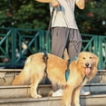 thumbnail image 4 of Quick Install Dog Belt For Senior Canines Comfortable Padded Polyester Mobility Rehabilitation Harness, 4 of 15