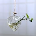 thumbnail image 5 of Home Garden Clear Glass Flower Hanging Vase Planter Terrarium Container, 5 of 5