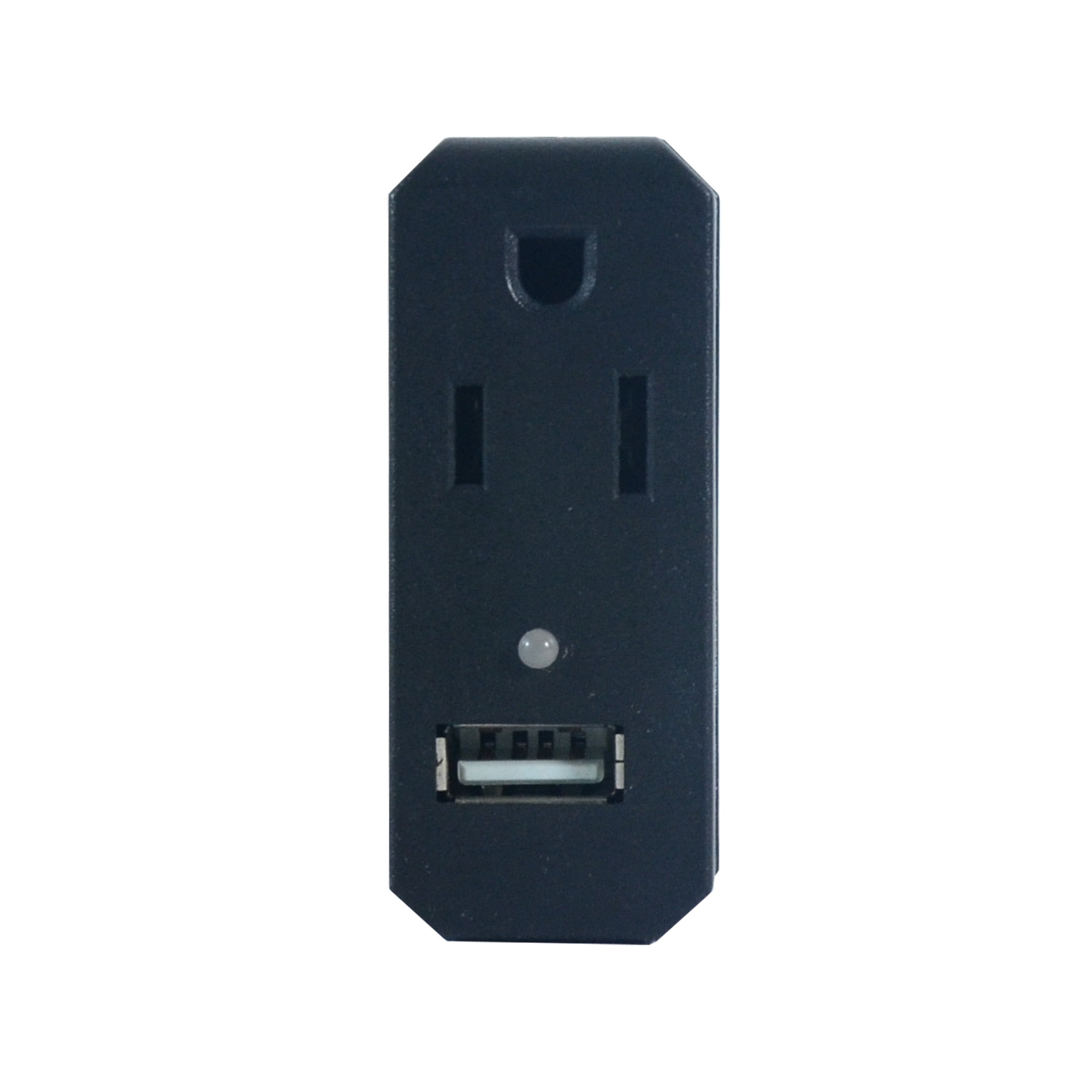 100 Watt Power Inverter