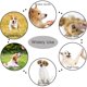 thumbnail image 5 of Pet Clicker HoaOo para adiestramiento de perros, gatos, caballos y pájaros (azul y verde), 5 of 7