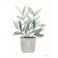 thumbnail image 3 of Nieman, Rachel 15x18 Black Modern Framed Museum Art Print Titled - Sage Planter, 3 of 5
