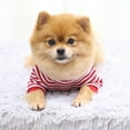 thumbnail image 6 of Pocket Bear Dogs and Dog Clothes for Medium Dogs Boy Cats Guard Clothes Autumn Dog Clothes Large Size Dog and Winter Plus Fleece Small Dog Sweaters for Girls Small Dogs Warm Pet Clothes Medium, 6 of 8