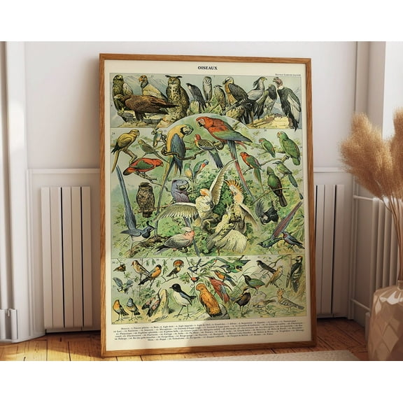 Bird Posters Vintage French Country Colorful Botanical Bird Prints Wall Art, Modern Wall Decor, 8x12 UNFRAMED