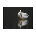 thumbnail image 1 of Canvas Gallery Wraps Unframed, 1 of 7