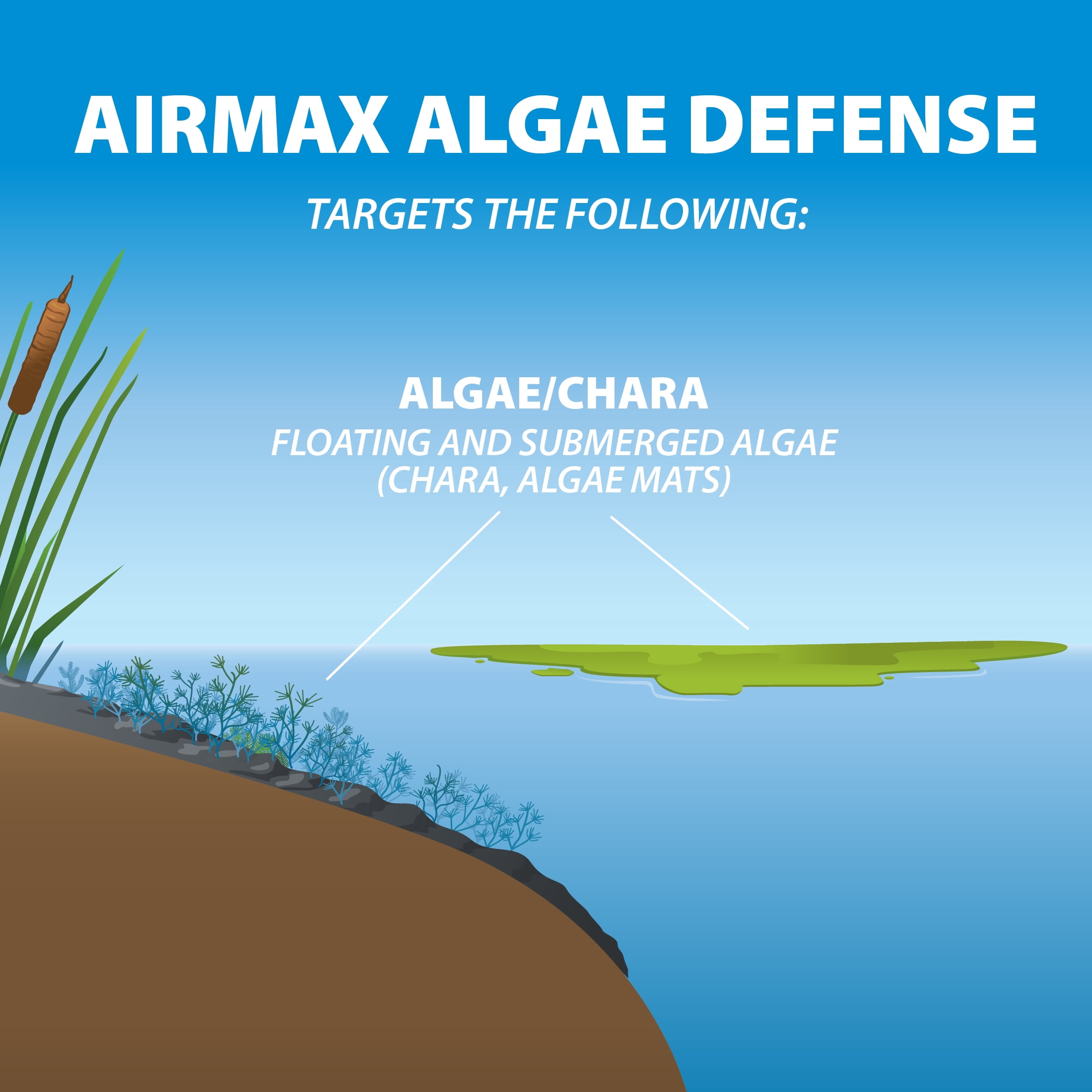 Airmax Algae Defense, EPA-Registered Algaecide for Scum & Chara, Pond & Lake Treatment, 1 Gallon