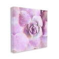 thumbnail image 3 of Stupell Industries Pink Succulent Botanical Leaves Botanical & Floral Painting Gallery Wrapped Canvas Print Wall Art, 3 of 5