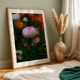 thumbnail image 6 of pink chrysanthemum - Carmel Valley California Photography Floral Flowers Botanical Garden Nature Scenic Autumn Unframed Wall Art Print 8 x 12 inches, 6 of 60