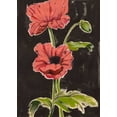 thumbnail image 2 of Popp, Grace 14x18 Black Ornate Wood Framed with Double Matting Museum Art Print Titled - Haloed Poppies I, 2 of 4