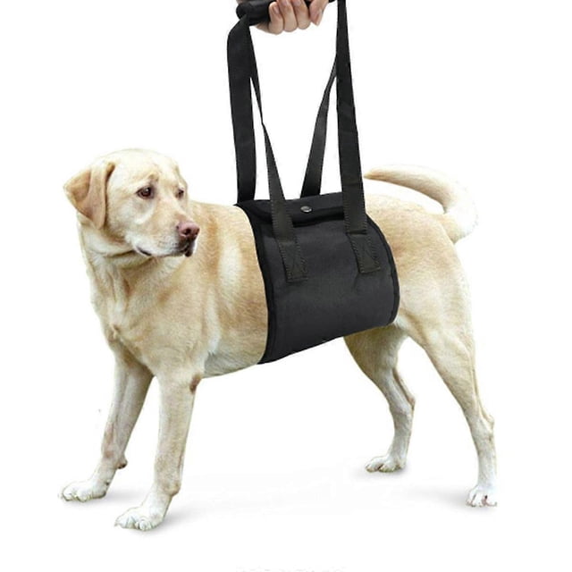 Dog Support & Rehabilitation Harness for Canine Aid Help Older & Young Puppies for Weak Hind Legs or Joints Surgery - Size