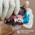 thumbnail image 4 of Boshel Dog Finger Tooth Brushing Kit, Pet Dental Care, 6 Soft Silicon & 2 Nylon Bristles, Blue, 4 of 10