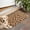 Leopard Pattern, variant on Pink and Black Of Leopard Print Door Rugs,Washable Non Slip Door Mats Indoor,Decorative Door Mats,Entry Mat Indoor for Entrance,Bedroom,Kitchen,Bathroom,16"x24"