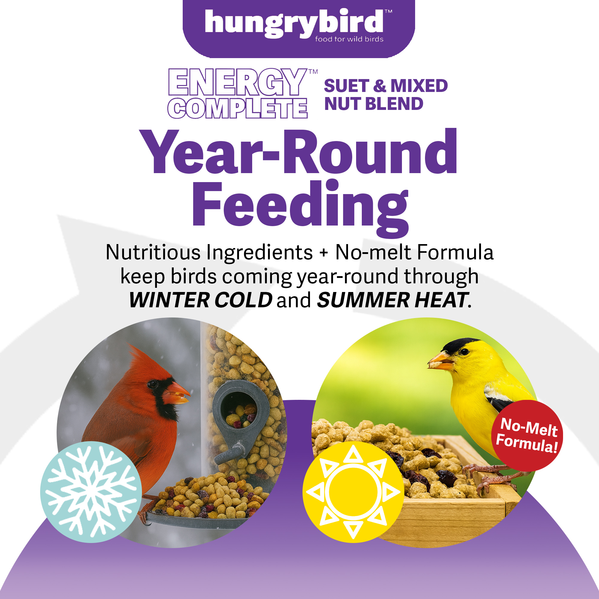 Hungrybird Energy Complete Diet, 7lb - All-Season Blended Berry Suet & Mixed Nut Blend for Wild Birds