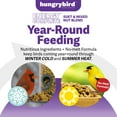 thumbnail image 2 of Hungrybird Energy Complete Diet, 7lb - All-Season Blended Berry Suet & Mixed Nut Blend for Wild Birds, 2 of 6
