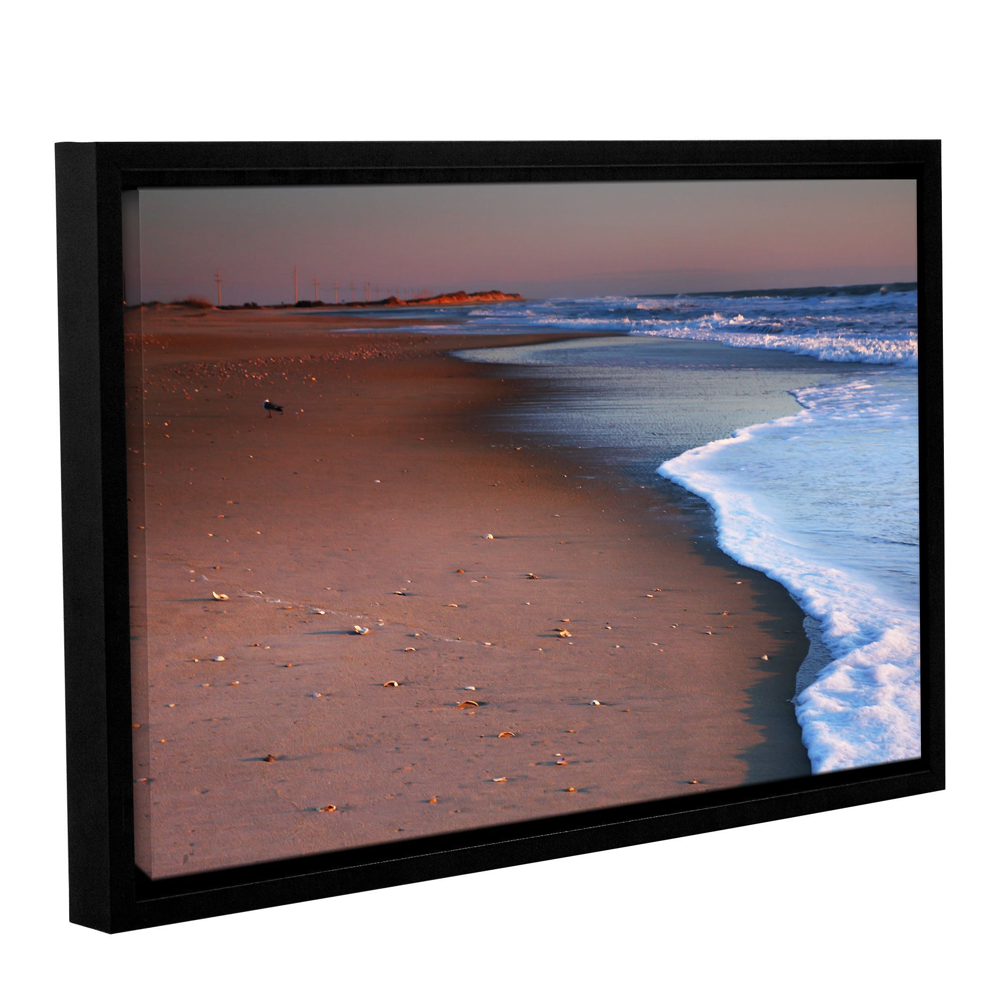 ArtWall Steve Ainsworth "Alone Not Lonely" Gallery-Wrapped Floater-Framed Canvas