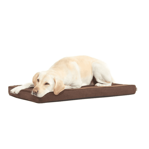 Orthopedic Dog Bed with Memory Foam, Premium Comfort for Dogs and Puppies, Dog Bed for Joint Relief and Restful Sleep, Durable and Easy to Clean - Espresso, Large