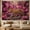 C, variant on XaaKee Tapestry Wall Hanging, Magenta Rainforest Leopard Wall Tapestry, High-Quality Polyester Bedroom Tapestry, For Living Room And Bedroom, 60x40Inch