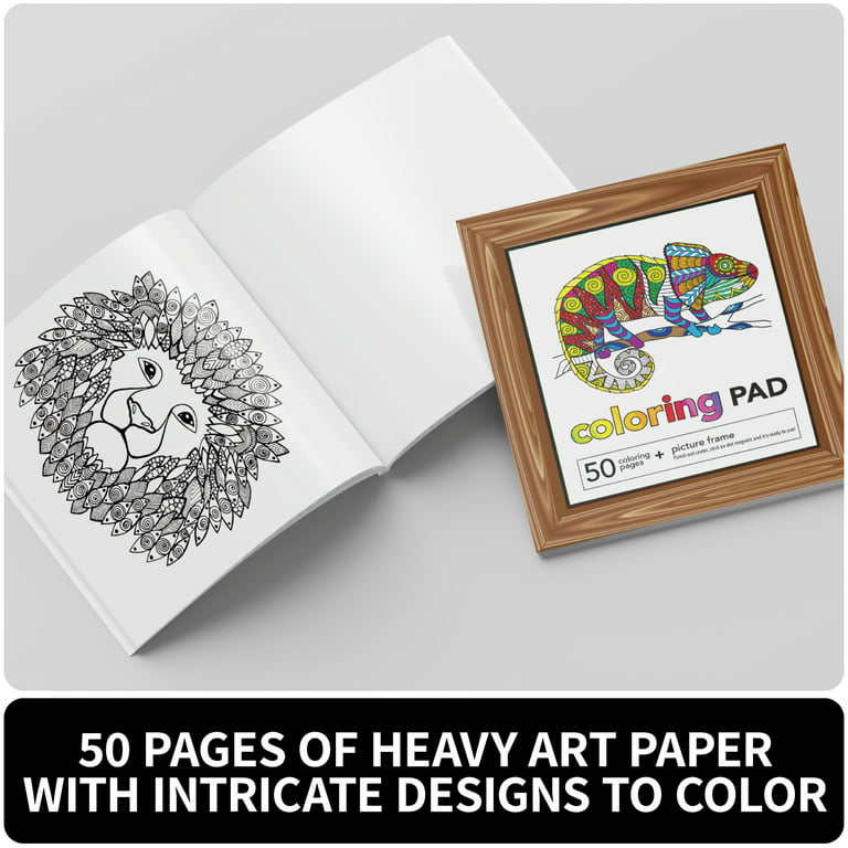 SpiceBox Creative Coloring Kit