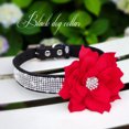 thumbnail image 4 of Didog Big Flower Studded Rhinestone Diamante Crystal Suede Leather Dog Collar for Girls Bling Puppy Necklace, 4 of 6